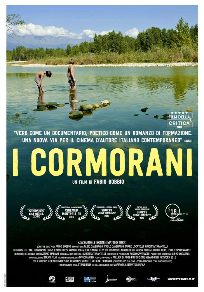 I cormorani
