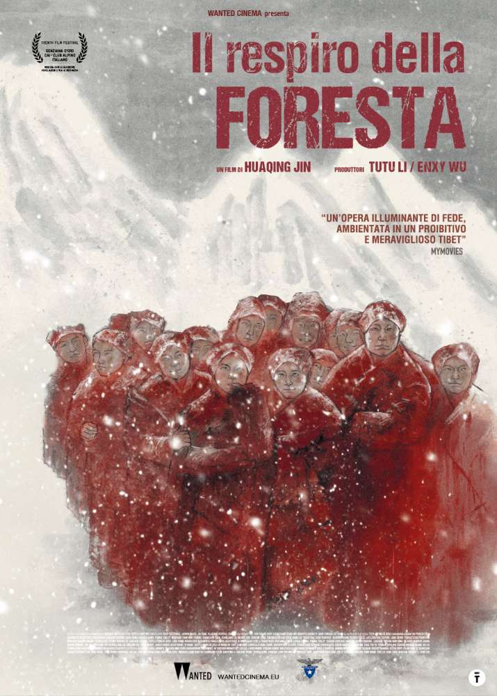 Il respiro della foresta