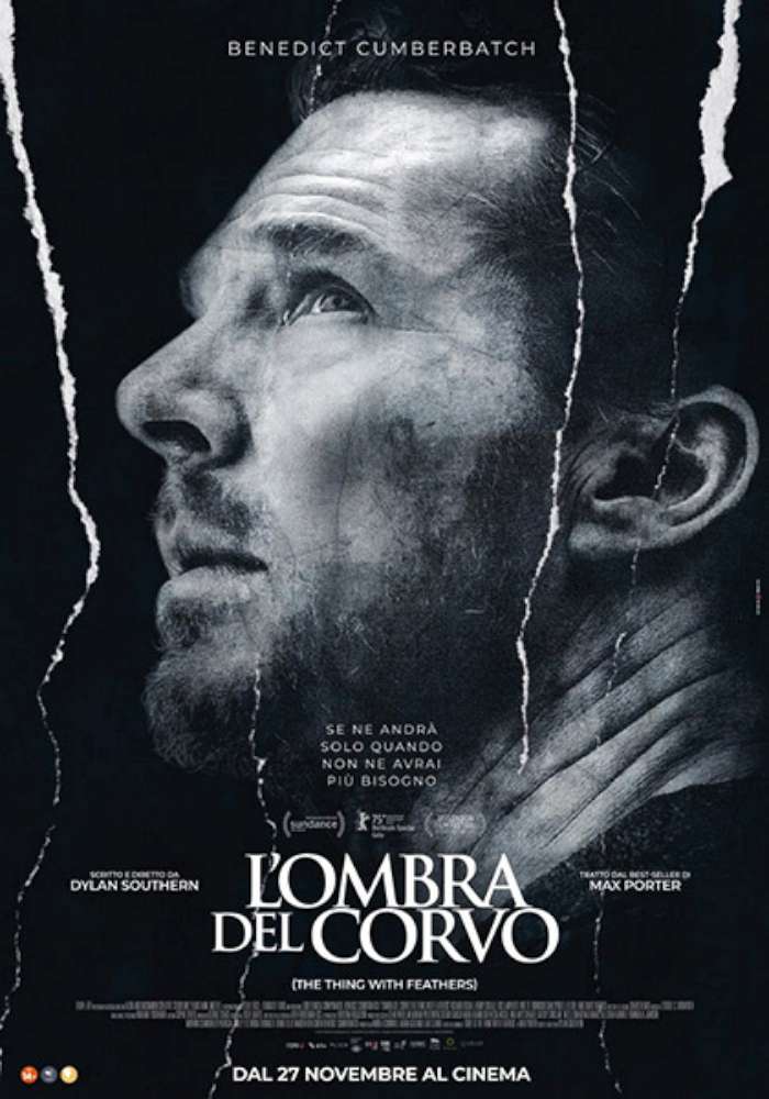 L'ombra del corvo