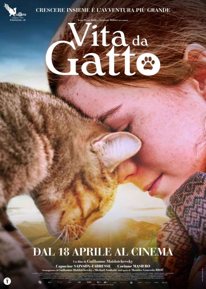 Vita da gatto